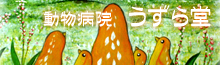 a@瓰